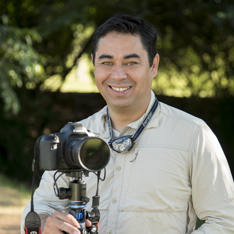 Adriano Kirihara